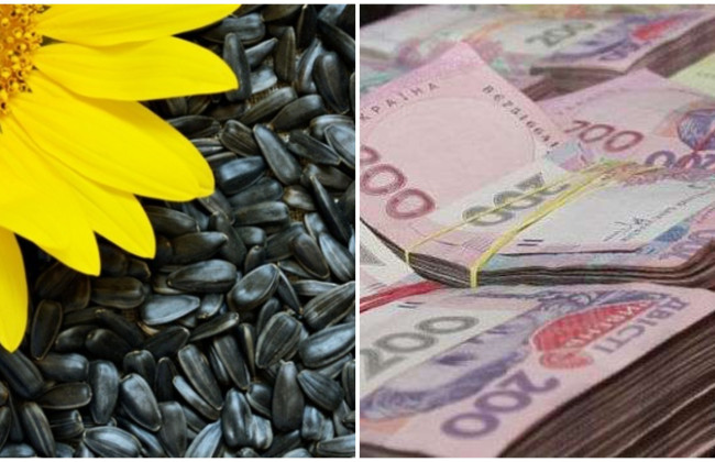 Растрата зерна на 3,2 млн грн: САП и НАБУ завершили следствие по делу