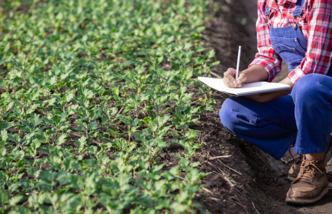 Верховна Рада гармонізує українське законодавство до законодавства ЄС у сфері охорони прав на сорти рослин
