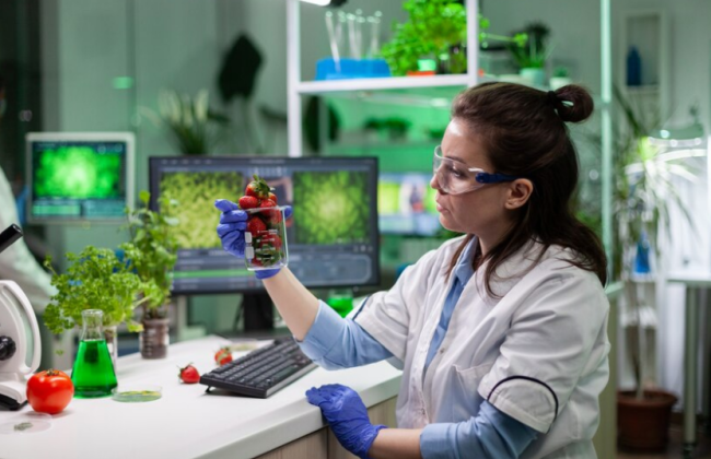 Государственный контроль за оборотом ГМО – Рада приняла за основу правительственный проект Закона