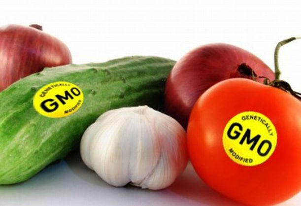 В Украине планируют обязать маркировать продукты «с ГМО» — Рада поддержала законопроект