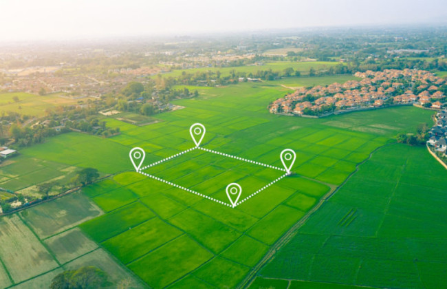 Що робити, коли право власності на земельну ділянку підтверджено Державним актом без зазначення кадастрового номера