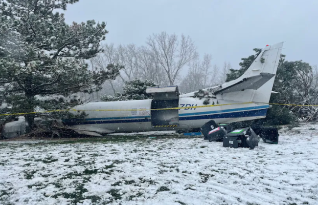 У США розбився літак із 53 собаками на борту: всі тварини вижили, фото