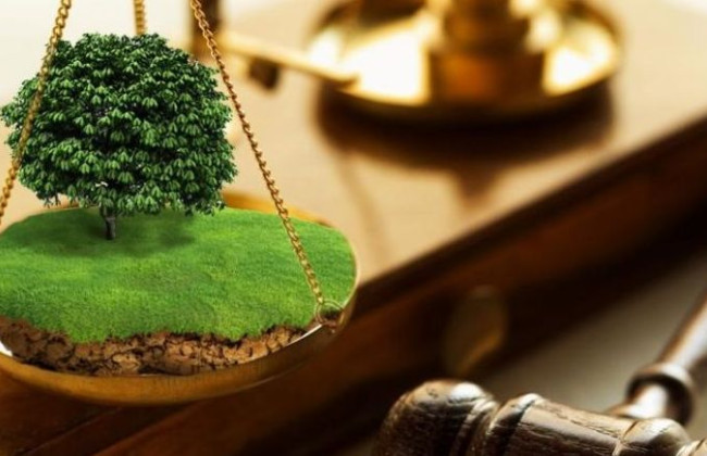 Зеленський підписав закон про повернення оренди сільгоспземель через аукціон: є умова