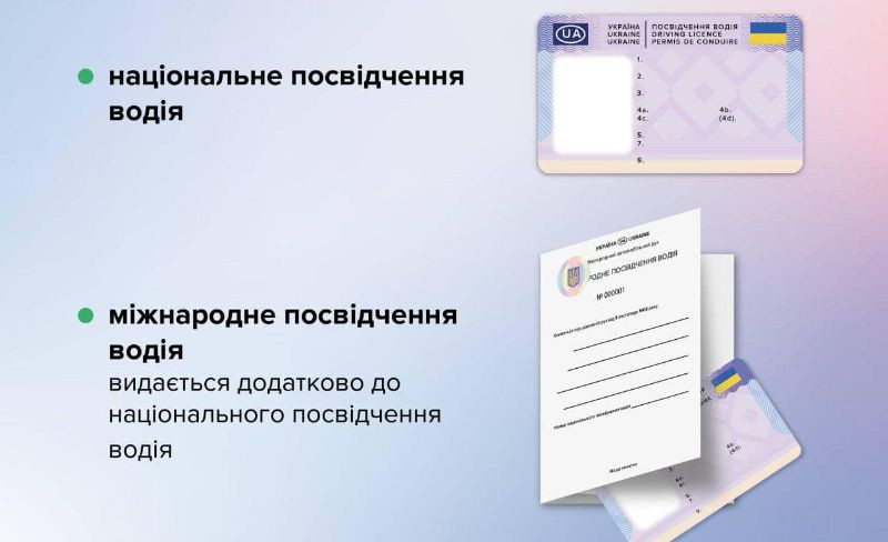 Украинцам объяснили, чем национальное водительское удостоверение отличается от международного