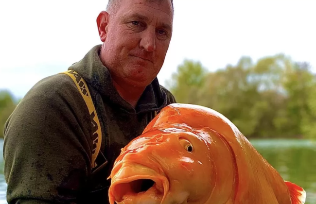 «Золотая рыбка» по имени Морковь: британец поймал 30-килограммовую рыбу-великана, фото