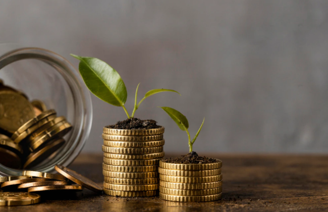 Кабмин сократил расходы на гранты для развития собственного бизнеса