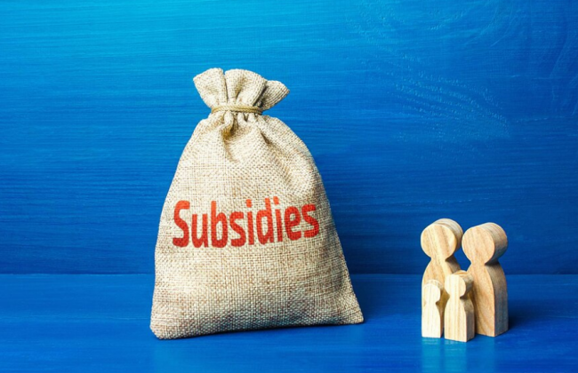 Можно ли заключить договор о добровольном участии в системе общеобязательного государственного социального страхования для назначения субсидий