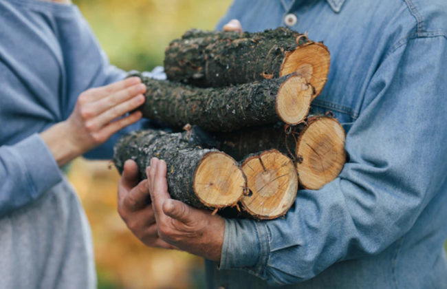 Куда обращаться гражданам для получения бесплатных дров