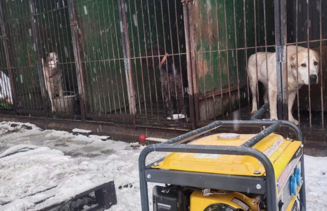 На Киевщине создают первый в Украине «Четырехлапый пункт незламности»