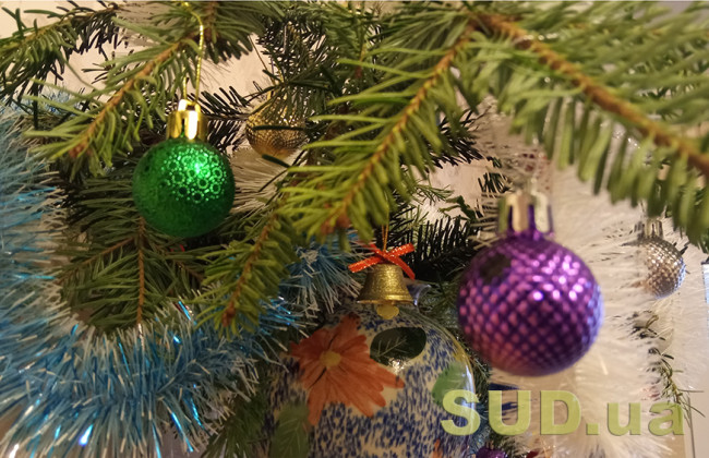 Коли в Києві почнуть продавати новорічні ялинки: відома дата