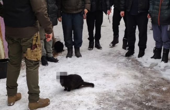 СБУ виявила в єпархіях УПЦ (МП) російські паспорти, «перепустки федеральних радників рф» та прапор «новоросії»: фото