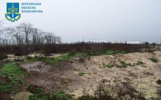 Масовий мор птахів у Чорнобаївці: прокуратура зафіксувала чергові наслідки агресії РФ, фото