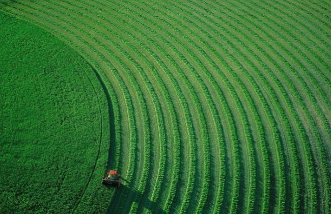 Нецільове використання земельної ділянки може бути підставою для дострокового розірвання договору оренди землі впродовж строку дії договору та існування порушення – ВП ВС
