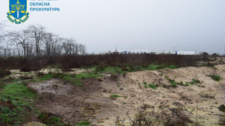 Масовий мор птахів у Чорнобаївці: прокуратура зафіксувала чергові наслідки агресії РФ, фото