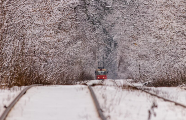 У Львові через негоду не курсують трамваї і тролейбуси