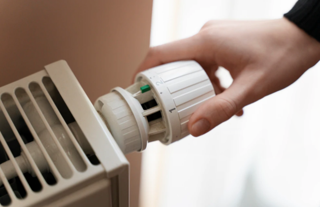 Субсидия: в ПФУ рассказали, на какие услуги ее можно назначить