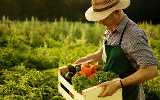 В каких случаях сельхозтоваропроизводитель имеет право на льготы по налогу на прибыль