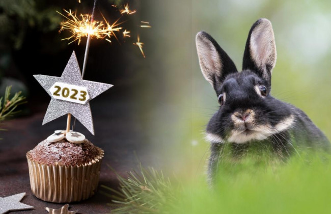 Рік Чорного Водяного Кролика: які страви мають бути на новорічному столі 2023 року