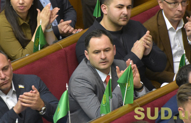 Максима Дырдина назначили на место Ольги Совгири представителем парламента в КСУ