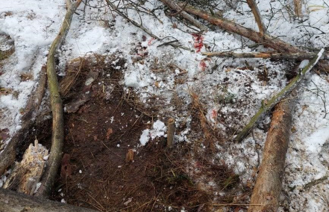 На Киевщине у границы с Беларусью взорвалась мина: есть раненый