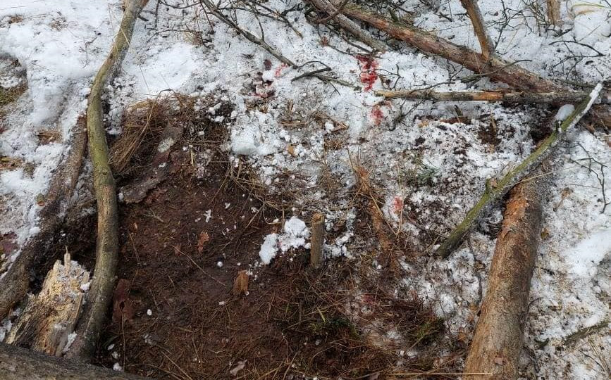 На Киевщине у границы с Беларусью взорвалась мина: есть раненый