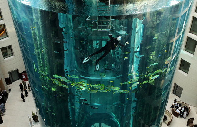 В Берлине лопнул 16-метровый аквариум в отеле Dom Aquaree: вылилось около миллиона литров воды, видео