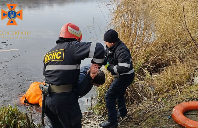 В Кировоградской области спасли лебедей, которые примерзли ко льду, фото