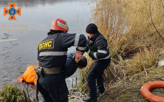 На Кіровоградщині врятували лебедів, які примерзли до криги, фото