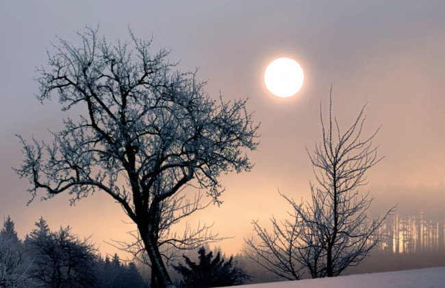 21 декабря: какой сегодня праздник и основные события