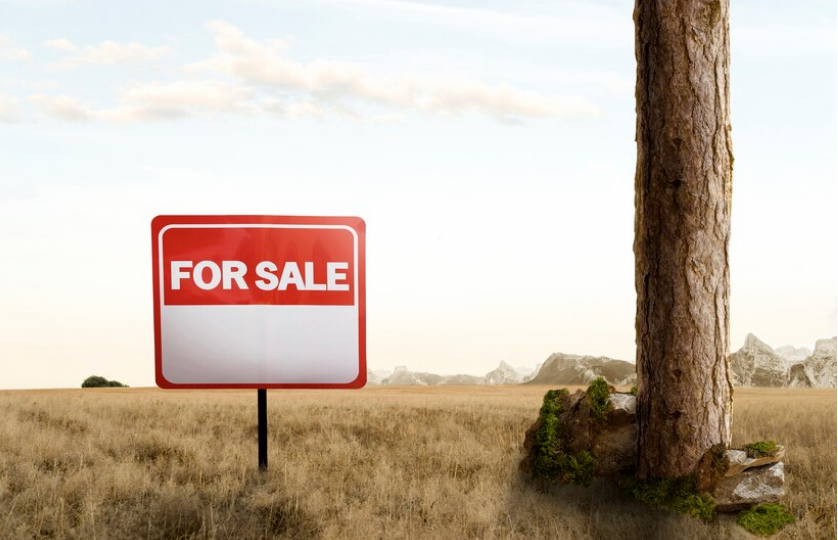 Раді пропонують на 5 років продовжити заборону на продаж землі юрособам
