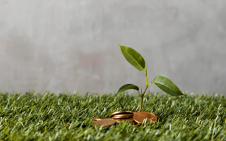 Украинский ветеранский фонд запустил программу микрофинансирования бизнеса ветеранов и членов их семей: какую сумму можно получить