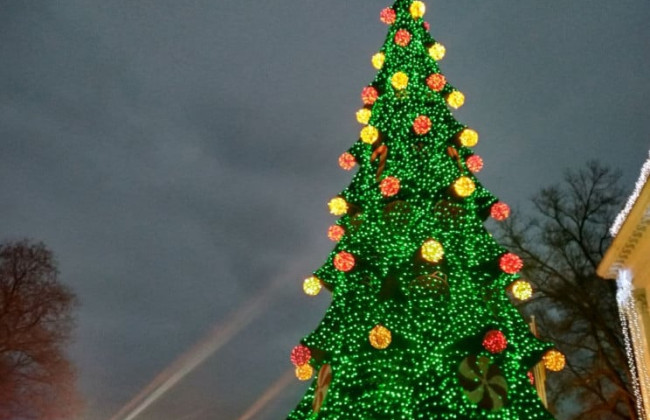 Одеська ОВА рекомендувала не встановлювати центральні ялинки у містах регіону