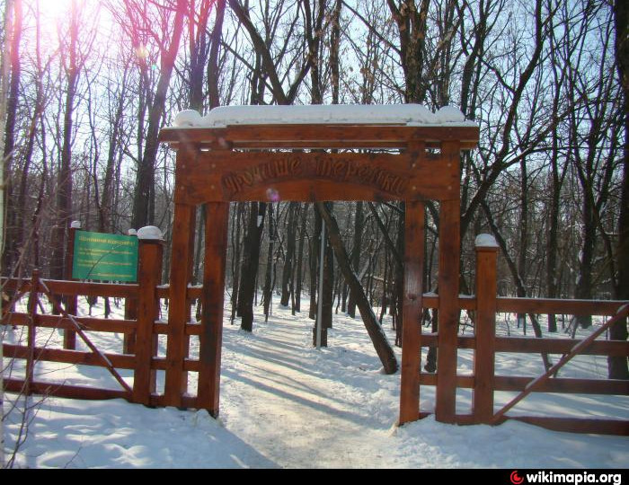 Столичная прокуратура требует освободить от самовольной застройки земли заповедного фонда в Голосеевском парке