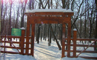 Столичная прокуратура требует освободить от самовольной застройки земли заповедного фонда в Голосеевском парке