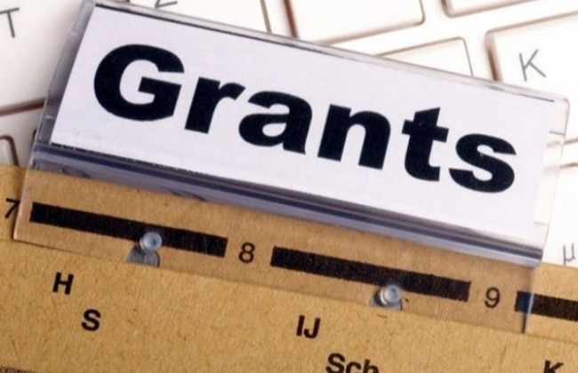 В налогооблагаемый доход не будут включаться некоторые виды грантов