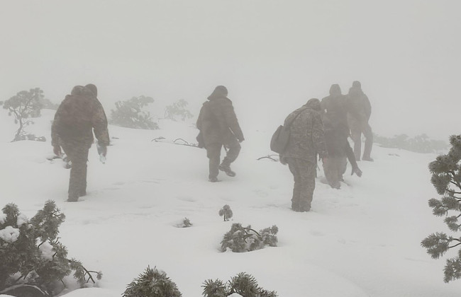 Прикордонники Мукачівського загону завершили пошуки зниклих у засніжених горах чоловіків