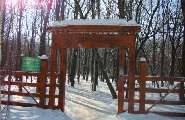 Столична прокуратура вимагає звільнити від самовільної забудови землі заповідного фонду в Голосіївському парку
