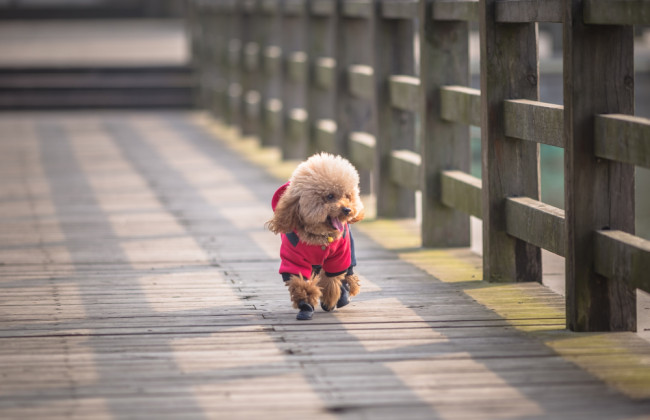 Український гідрометеорологічний центр: 1 січня було встановлено 64 метеорологічні рекорди