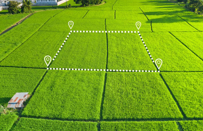 Когда станет известен коэффициент индексации нормативной денежной оценки земельных участков за 2022 год