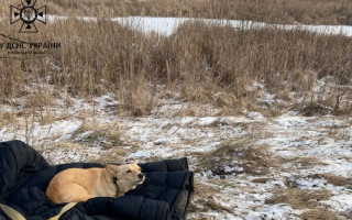 Трагедія на Київщині: чоловік провалився під лід і загинув