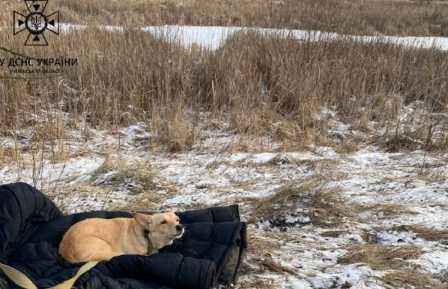 Трагедия в Киевской области: мужчина провалился под лед и погиб