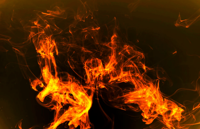 З початку нового року в Україні сталося 838 пожеж – ДСНС