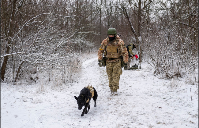 На Одещине обнаружили снаряды времен Второй мировой войны