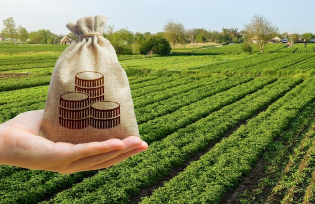 У Державній податковій службі розказали про основні зміни в декларації з плати на землю