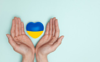 Как волонтеру зарегистрироваться и получить официальный статус