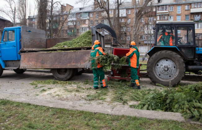 Как долго в Киеве будут работать пункты приема новогодних деревьев
