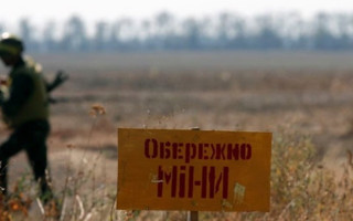 Стало відомо, скільки часу може зайняти повне розмінування України