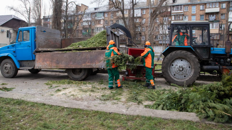 Как долго в Киеве будут работать пункты приема новогодних деревьев