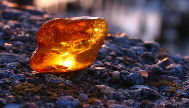 Конфискованный янтарь стоимостью более 33 млн грн пополнит государственную казну