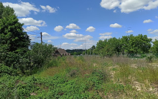 Сприяв незаконному відчуженню 30 соток землі у Києві: судитимуть землевпорядника